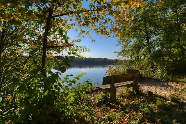 团队凝聚力 团队凝聚力