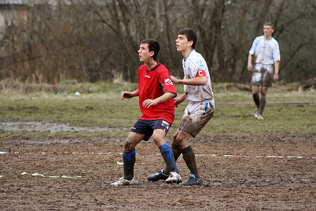 不仅是新教 不仅是新教